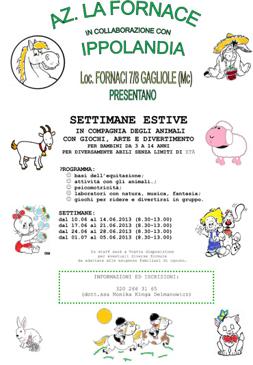 Settimane estive 2013